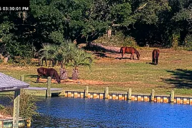 Canal de Carova Beach, Outer Banks