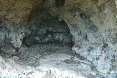 Castle Rock Peregrine Falcon Nest, Wisconsin