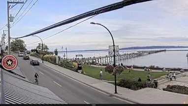 Charlie ne surfe pas, White Rock webcam en direct