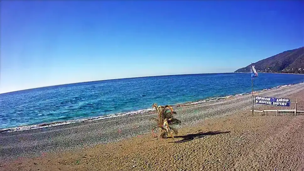 Веб камеры гагры в реальном. Абхазия пляж Челюскинцев. Пляж Челюскинцев Гагра. Гагра пляж веб камера. Пляж Гагры Абхазия веб камера.