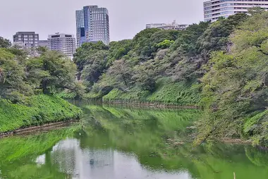Chidorigafuchi Moat, Tokyo
