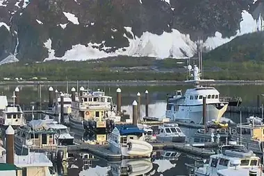 Cliffside Marina Cam, Alaska