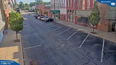 Monroe Street, Coldwater online-webcam