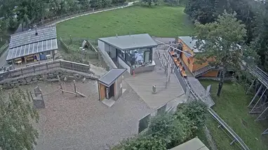 Slitta sulle montagne russe Corona webcam dal vivo