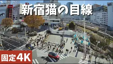 Przestrzeń kosmiczna Shinjuku, Japonia kamera na żywo