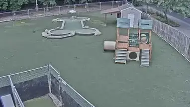 Daycare Play Yard, Maryland Live Cam