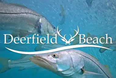 Deerfield Beach underwater webcam