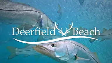 Deerfieldstrand onder water online-webcam