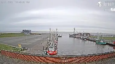 Porto de Dornumersiel, Alemanha webcam ao vivo