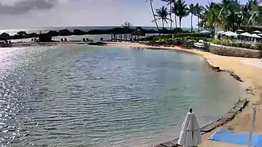 Hawks Cay Resort, Duck Key, Florida Live Cam