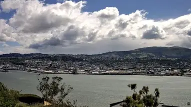 Puerto de Dunedin Otago, Nueva Zelanda cámara web en vivo