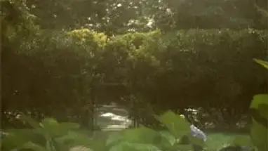 イーストハンプトン、ニューヨーク州 ウェブカメラのライブストリーム