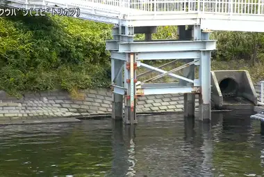 Fiume Ebitori al ponte Tenku, Ota