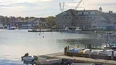 Palingvijver, Falmouth online-webcam