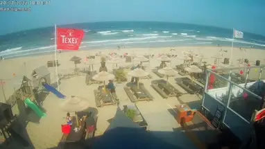 Plaża Egmond aan Zee kamera na żywo
