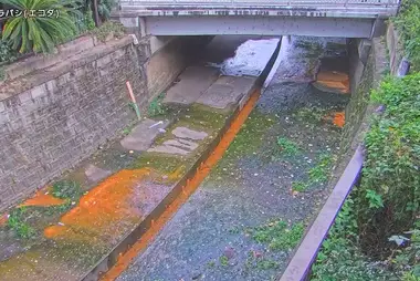 Rivière Egota au pont Nishihara, Nakano