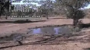 Planícies de Elefantes, África do Sul webcam ao vivo