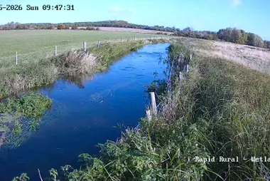 ワデスドンのエイスロープ湿地