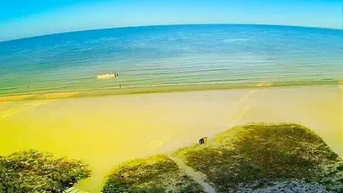 Fort Myers Plajı canlı web kamerası