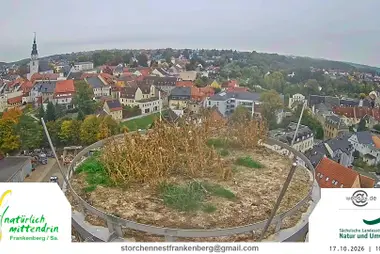 Gniazdo bociana białego, Frankenberg, Saksonia
