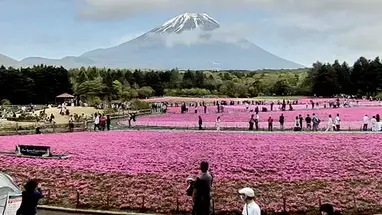 Fuji Motosuko Resort, Japón cámara web en vivo