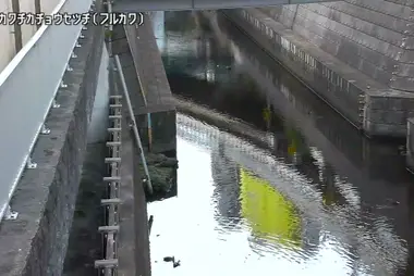 Fiume Furukawa alla presa del bacino sotterraneo, Minato