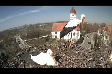 Webcam at the stork nest, Ulm, Germany
