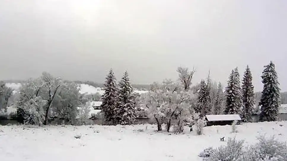 Live Webcam Grand Teton National Park