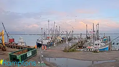 Shinnecock Fishing Dock, New York Live Cam