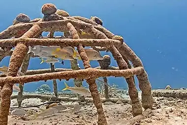 Bonaire Coral Reef Cam, NL