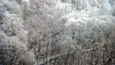 하르츠 산 케이블카, 전망 2 웹캠 라이브 스트림