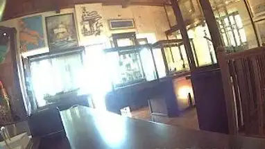 Bảo tàng Di sản Tổ chức Hellenic phát trực tiếp qua webcam