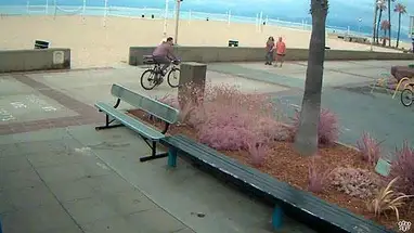 Hermosa-strand online-webcam