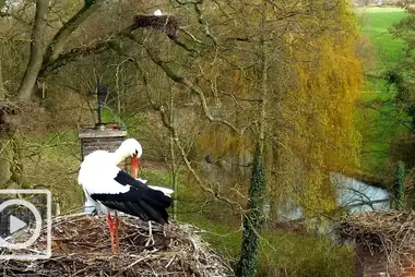 Stork shelter, Herwijnen