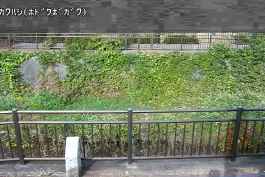Rivière Hodokubo au pont Ochikawa, Hino