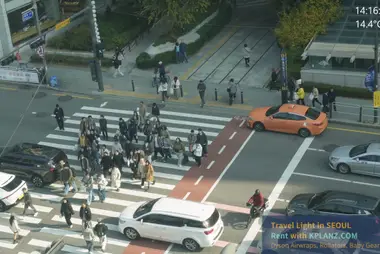 홍대 서울라이브, 한국