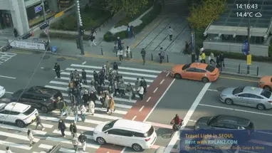 홍대 서울라이브, 한국 웹캠 라이브 스트림