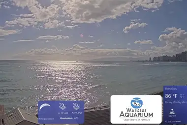 Waikiki Aquarium, Hawaï