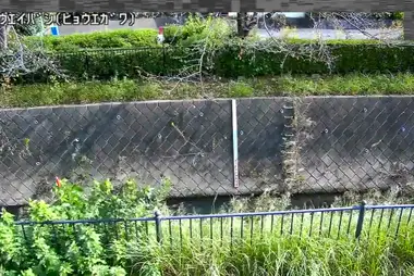 Rivière Hyoe au pont Hyoei, Hachioji
