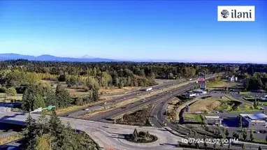 일라니 호텔, 리지필드 웹캠 라이브 스트림