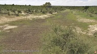 Imagine Africa Deans Dam Live Live Cam