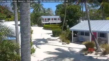 Pine & Palms Resort, Florida Live Cam