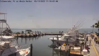 Puerto de ballenas, Florida cámara web en vivo