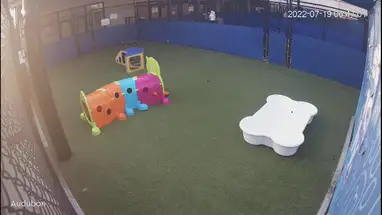 Audubon, Jefferson cámara web en vivo