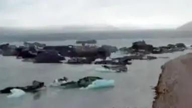 Jokulsarlon, Islanda webcam dal vivo
