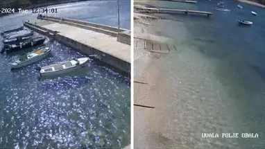 カメンニャク・ポリェ湾、クロアチア ウェブカメラのライブストリーム