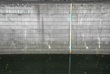 Fiume Kanda al ponte Kamon, Bunkyo