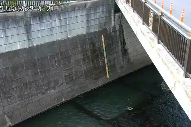 Rivière Kanda au pont Kashiwa, Shinjuku