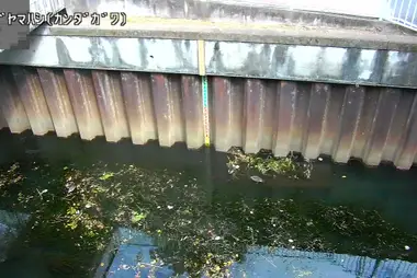 Fiume Kanda al ponte Kugayama, Suginami