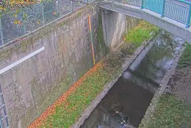 Rivière Kanda au pont Midori, Suginami